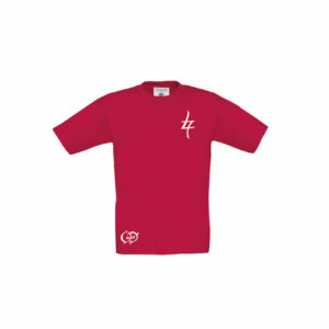 gabarit photo website