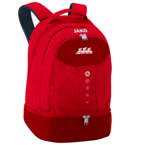 LYON SPRINT EVOLUTION- SAC A DOS STRIKER 1816